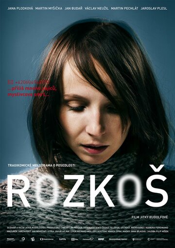 Постер фильма «Rozkos»