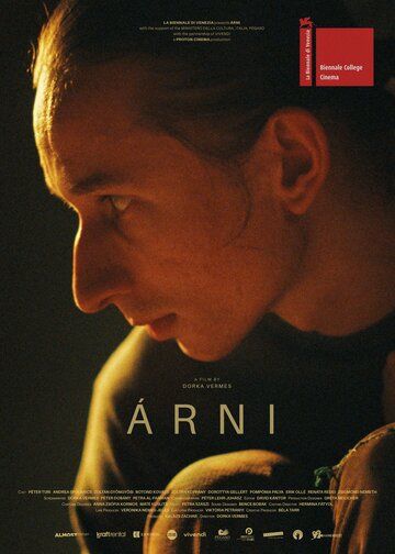 Постер фильма «Арни»