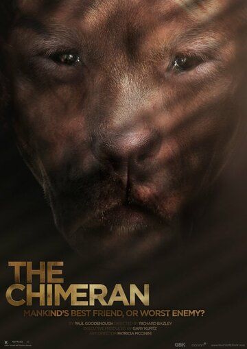 Постер фильма «The Chimeran»