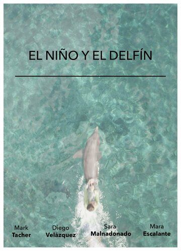 Постер фильма «El Niño y El Delfín»