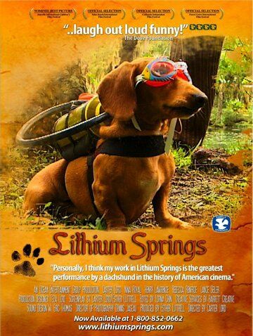 Постер фильма «Lithium Springs»