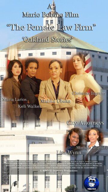 Постер фильма «The Female Law Firm»