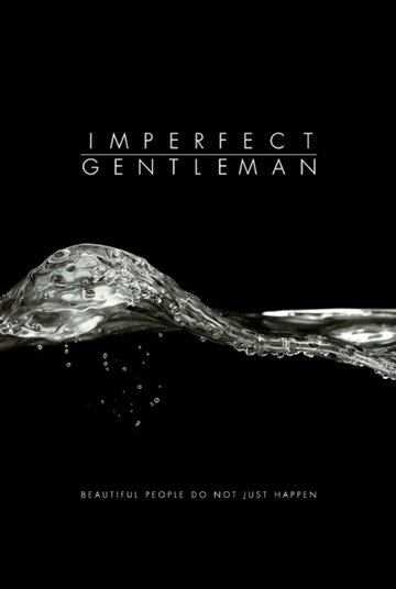 Постер фильма «Imperfect Gentleman»