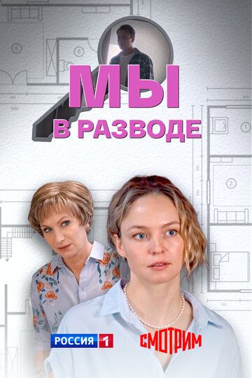 Постер фильма «Мы в разводе»