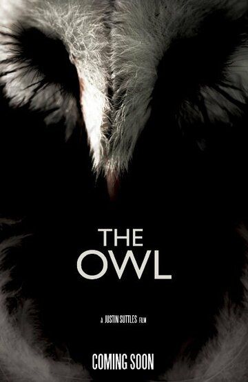 Постер фильма «The Owl»