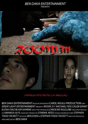 Постер фильма «Room 311»