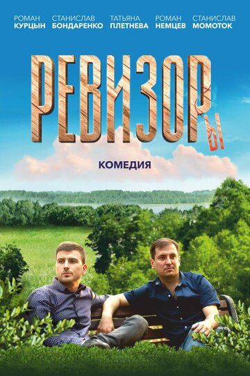 Постер фильма «Ревизоры»