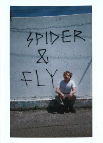 Постер фильма «Spider & Fly»