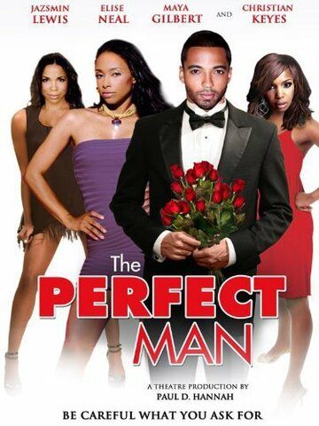 Постер фильма «The Perfect Man»