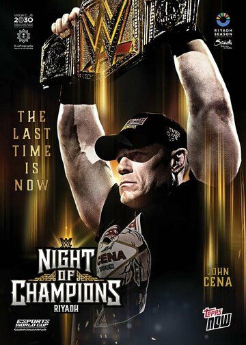 Постер фильма «WWE Night of Champions»