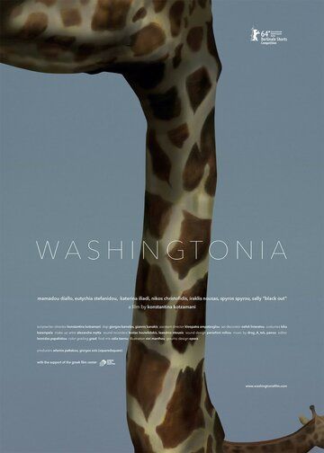 Постер фильма «Washingtonia»