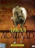 Постер фильма «Дикая лошадь»