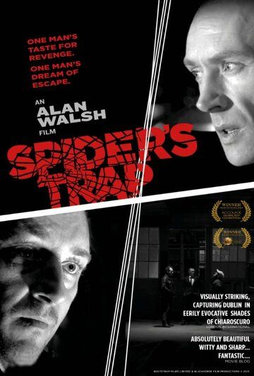 Постер фильма «Spiders Trap»