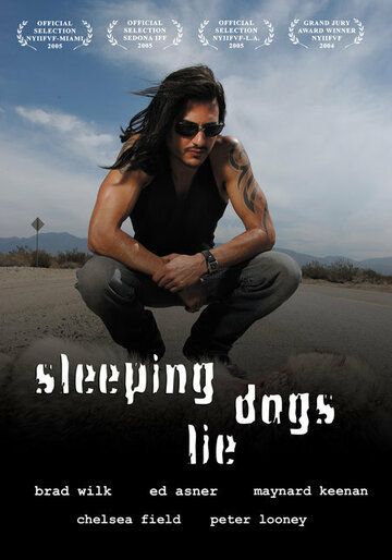 Постер фильма «Sleeping Dogs Lie»