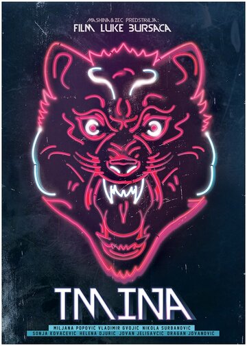 Постер фильма «Tmina»