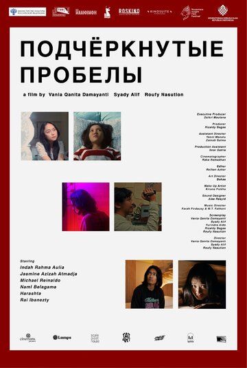Постер фильма «Подчеркнутые пробелы»