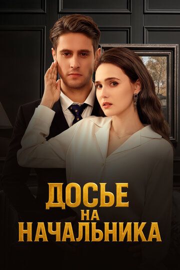 Постер фильма «Досье на начальника»