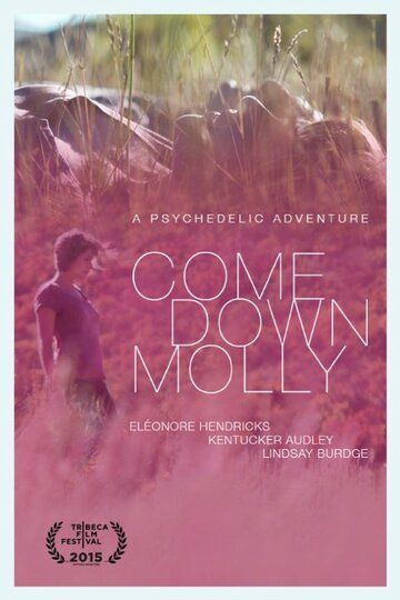 Постер фильма «Come Down Molly»