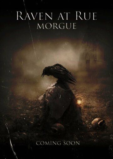 Постер фильма «The Raven at Rue Morgue»
