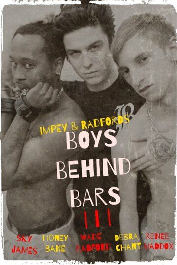 Постер фильма «Boys Behind Bars 3»
