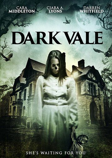 Постер фильма «Dark Vale»