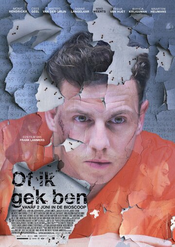 Постер фильма «Of ik gek ben»