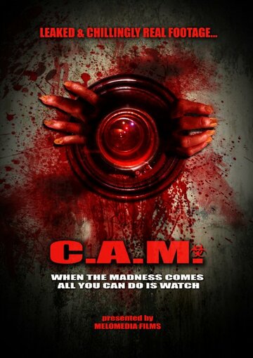 Постер фильма «C.A.M.»