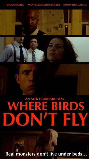 Постер фильма «Where Birds Don't Fly»