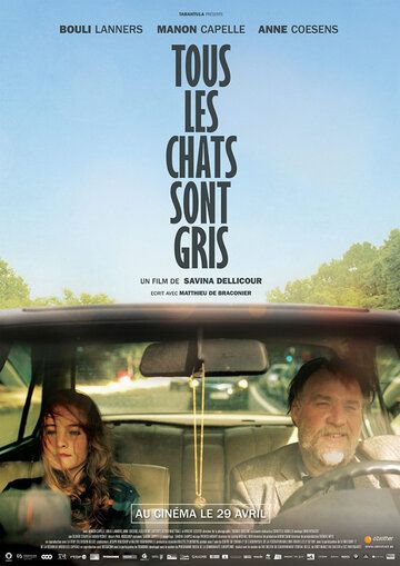 Постер фильма «Tous les chats sont gris»