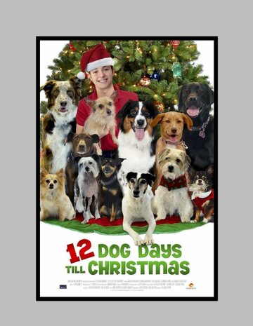 Постер фильма «12 Dog Days of Christmas»