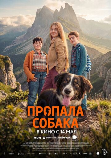 Постер фильма «Пропала собака»