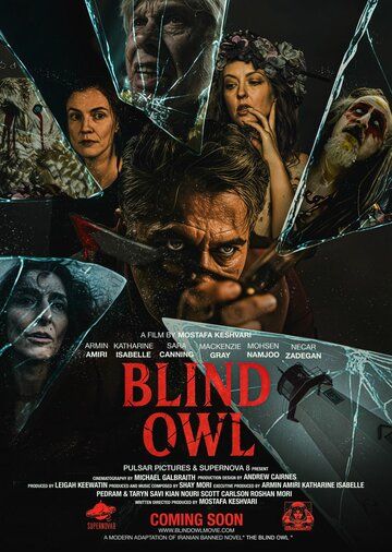 Постер фильма «Blind Owl»
