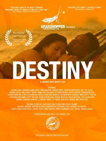 Постер фильма «Destiny»