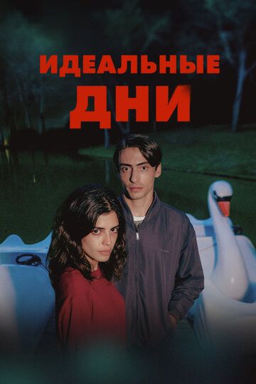 Постер фильма «Идеальные дни»