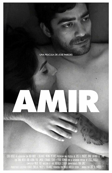 Постер фильма «Amir»
