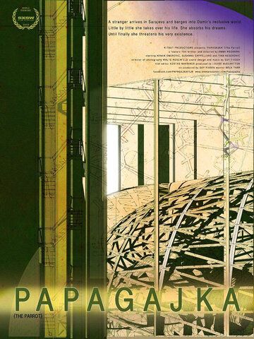 Постер фильма «Папагайка»