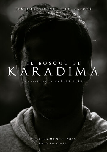 Постер фильма «El Bosque de Karadima»