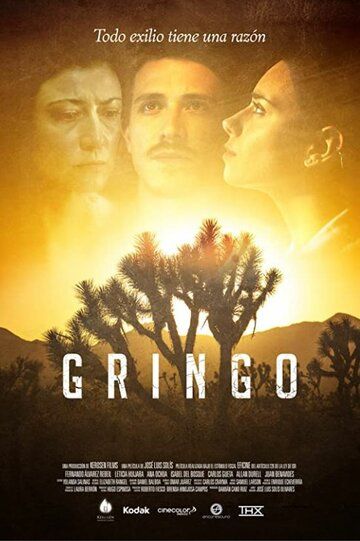 Постер фильма «Gringo»