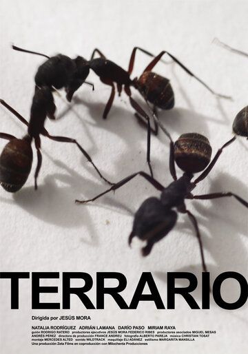 Постер фильма «Террарий»