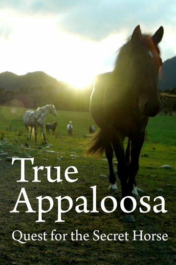Постер фильма «The Secret Horse: Quest for the True Appaloosa»