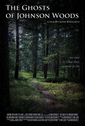 Постер фильма «The Ghosts of Johnson Woods»