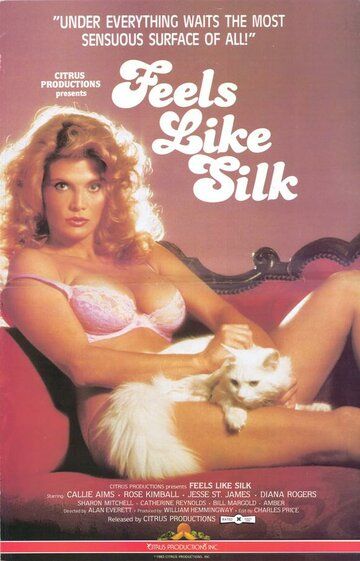 Постер фильма «Feels Like Silk»
