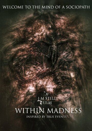 Постер фильма «Within Madness»