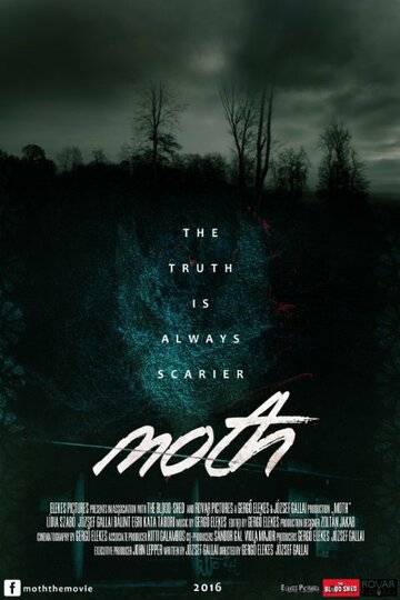 Постер фильма «Мотылёк»
