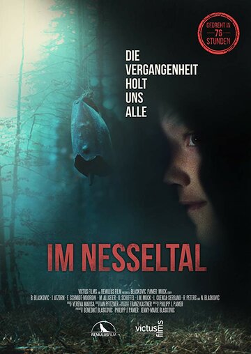 Постер фильма «Im Nesseltal»