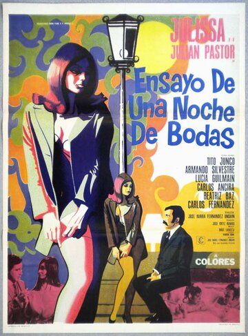 Постер фильма «Ensayo de una noche de bodas»