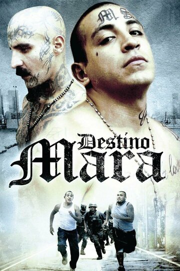Постер фильма «Destino Mara»