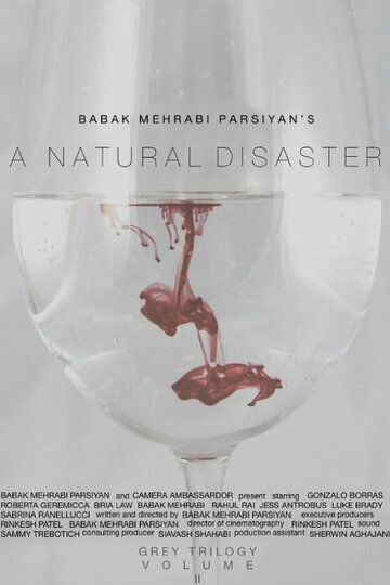 Постер фильма «A Natural Disaster»