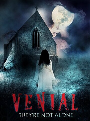 Постер фильма «Venial»