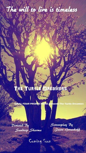 Постер фильма «The Turtle Dreamers»